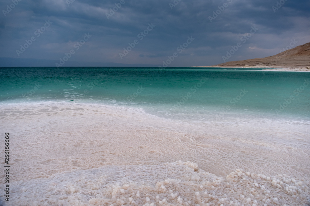 Fototapeta premium Beautiful green white salty coastline of Dead sea in Jordan