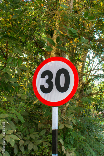 speed limit road sign to 30 against the background of green trees and shrubs