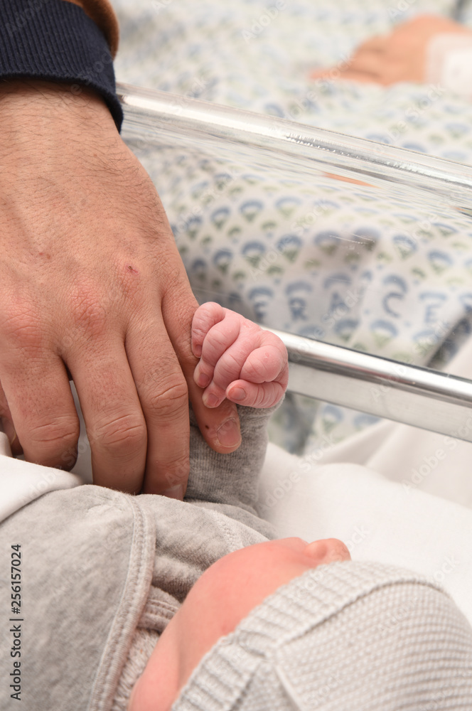 Fototapeta premium new born