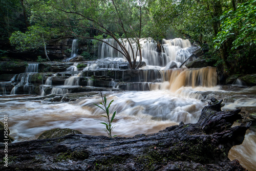 Somersby Falls after a good rainfall