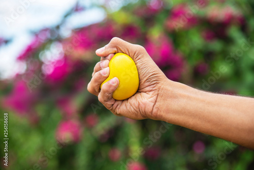 Hand Squeezing Stress Ball