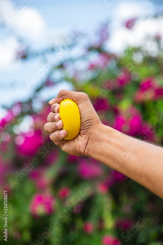 Hand Squeezing Stress Ball