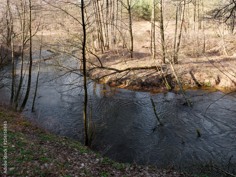 the beginning of spring. wild fast river among the thickets the beginning of spring. wild fast river among the thickets