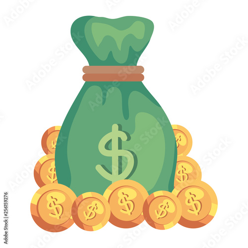 sack with coins dollars