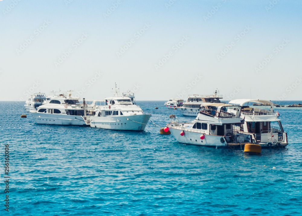 sail boats with tourists in the Red Sea near coast of Sharm El Sheikh, Egypt. sail boats with tourists in the Red Sea near coast of Sharm El Sheikh, Egypt.