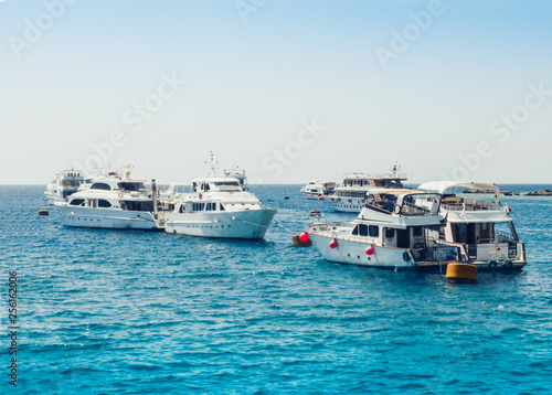 sail boats with tourists in the Red Sea near coast of Sharm El Sheikh, Egypt. © Inna