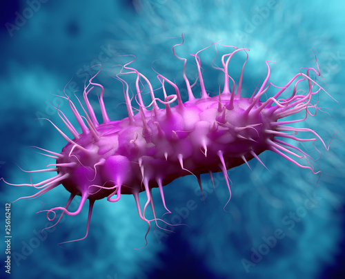 Photos Salmonella bacteria , Germ infection , Epidemic bacterial disease -  3D Ilustrac