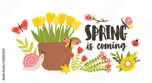 Decorative postcard template with Spring Is Coming phrase handwritten with cursive calligraphic font, blooming springtime garden flowers, cute snail and butterflies. Flat colorful vector illustration.