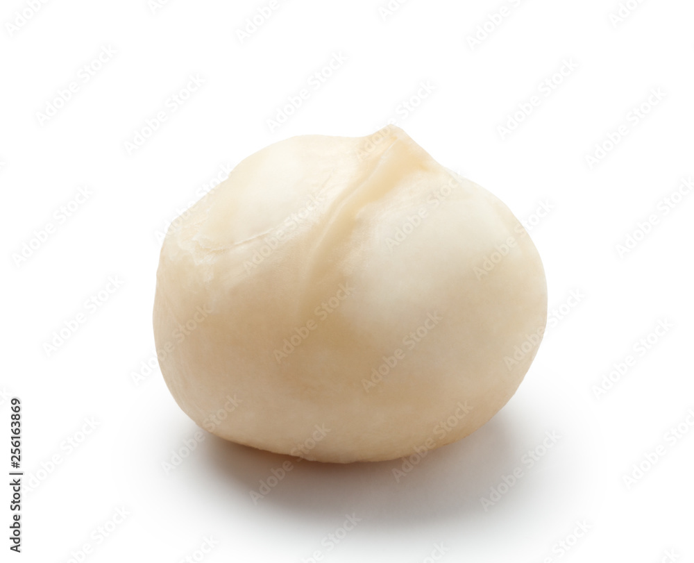Peeled macadamia nuts isolated on white background Peeled macadamia nuts isolated on white background
