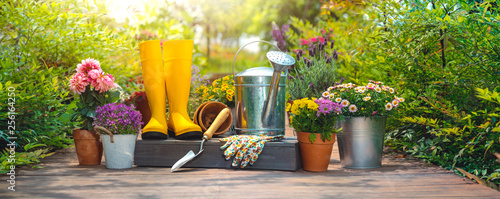Gardening tools and flowers in the garden photo