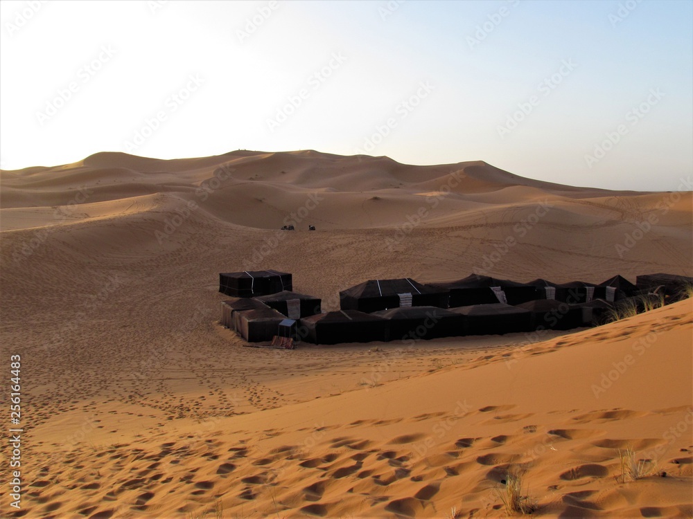 Tent Camp in Sahara Desert