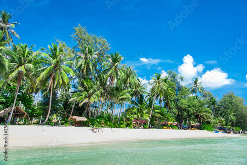 Summer nature scene. Tropical beach with sea wave on the sand and palm trees