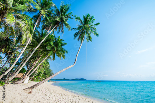 Fototapeta Naklejka Na Ścianę i Meble -  Summer nature scene. Tropical beach with sea wave on the sand and palm trees