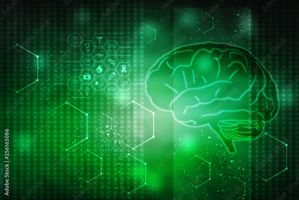 Human brain 2d illustration Human brain 2d illustration