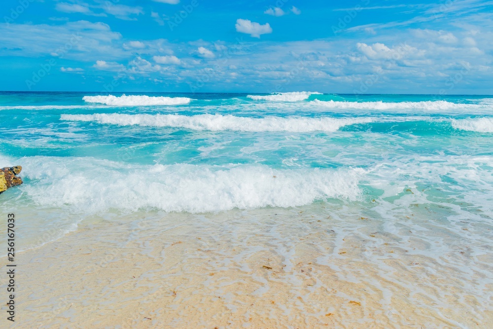 Obraz premium beach and sea