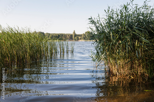 Röblinsee bei Fürstenberg/Havel