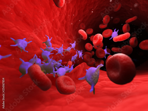 Valokuva 3d rendered medically accurate illustration of active blood platelets