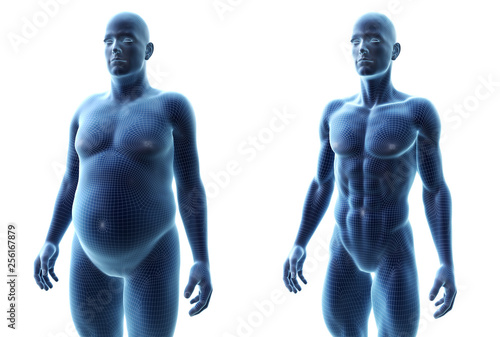 3d rendered medically accurate illustration of a comparision of a fit and obese male