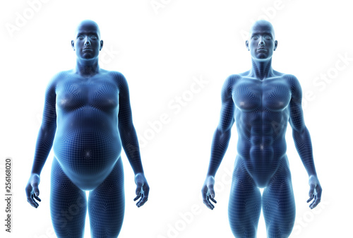 3d rendered medically accurate illustration of a comparision of a fit and obese male