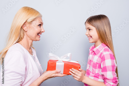 Close up side profile photo blond hair she her granny little granddaughter hold large big giftbox best grandchild excited amazed wear pink plaid checkered shirt sweater isolated grey background
