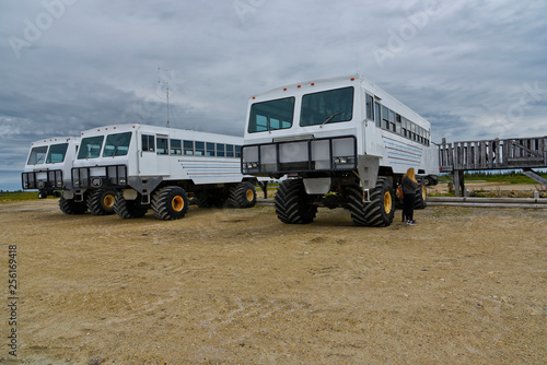 tundra buggy waiting for tourists to watch polar bears in churchill, manitoba photo