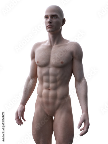 3d rendered medically accurate illustration of a ripped male model