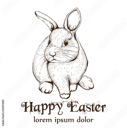 Easter Bunny rabbit Vector lineart. Cute spring card. Easter holiday greetings