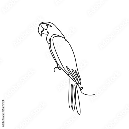 Drawing a continuous line. Parrot on white isolated background