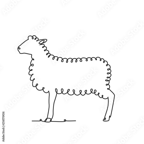 Drawing a continuous line. Sheep on white isolated background