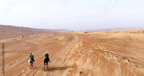 horse Horse racing in the desert. Endurance Equestrian Race.