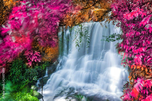 Amazing in nature, beautiful waterfall at colorful autumn forest in fall season © totojang1977