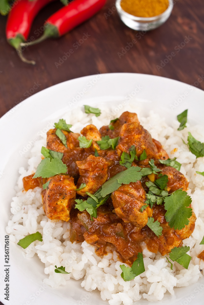 Chicken Curry with basmati rice and coriander leaves on a plate Chicken Curry with basmati rice and coriander leaves on a plate