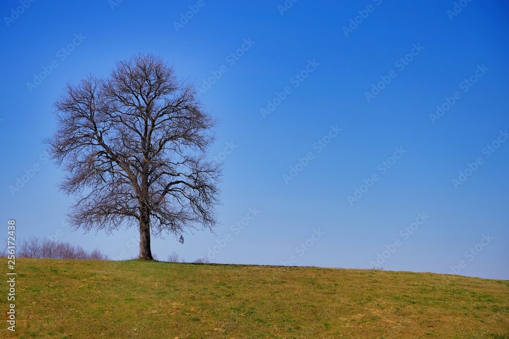Stunning mountain scenery in spring in Europe with many green hills and trees Stunning mountain scenery in spring in Europe with many green hills and trees
