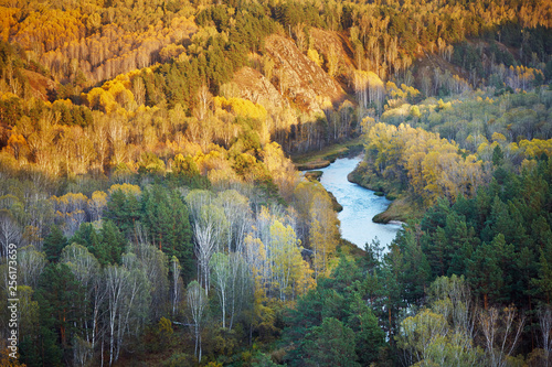 autumn landscape: trees, river, view from a height