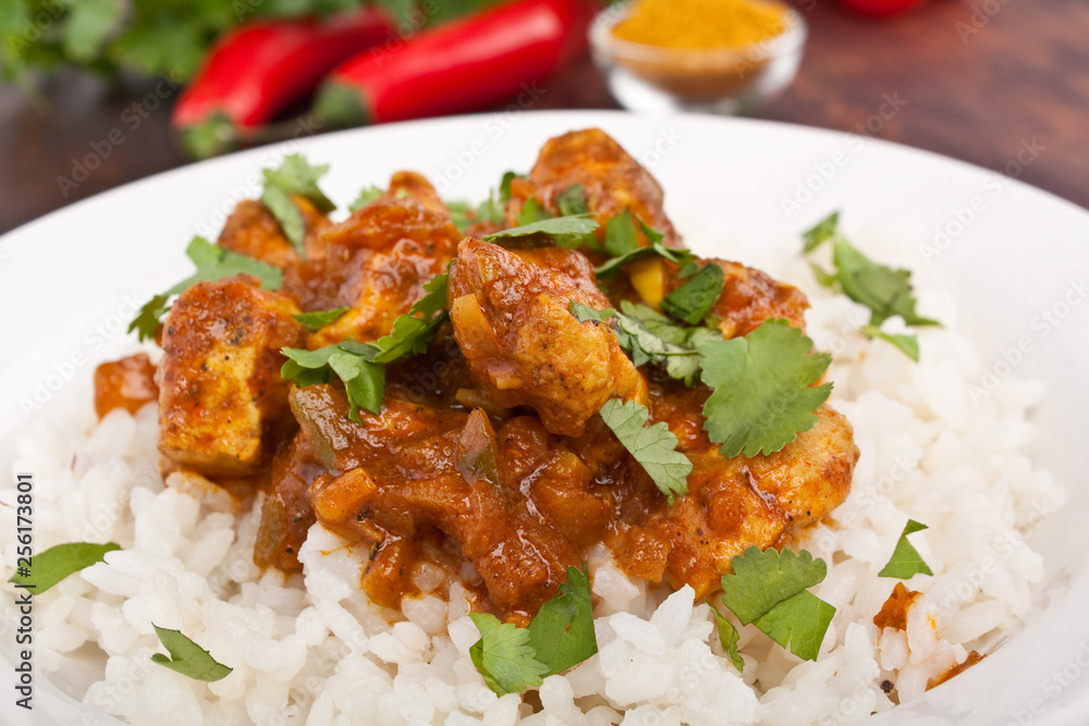 Chicken Curry with basmati rice and coriander leaves on a plate Chicken Curry with basmati rice and coriander leaves on a plate