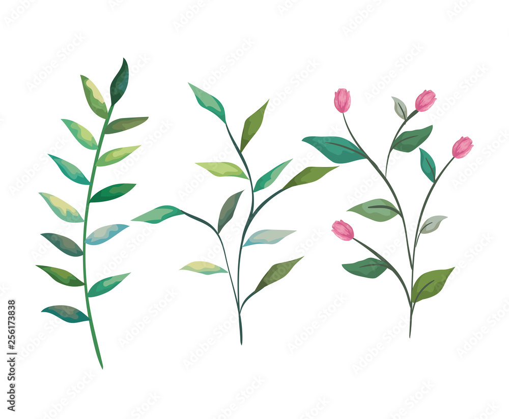Obraz premium set tropical branches with nature leaves plants