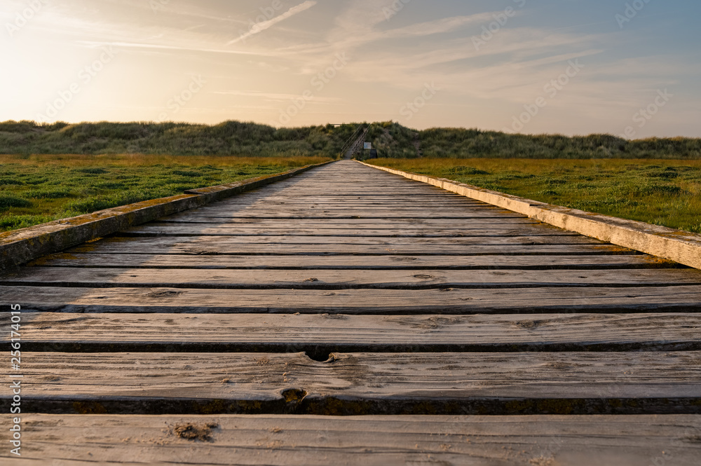 Fototapeta premium Footpath to the sea at the Gronant Dunes Nature Reserve, Denbighshire, Wales, UK