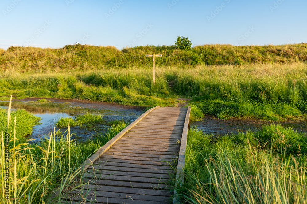 Footpath to the sea at the Gronant Dunes Nature Reserve, Denbighshire, Wales, UK