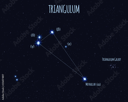 Triangulum (The Triangle) constellation, vector illustration with the names of basic stars against the starry sky 
