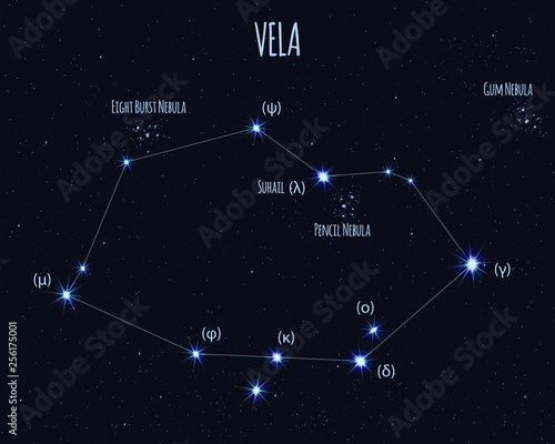 Vela (The Sails) constellation, vector illustration with the names of basic stars against the starry sky