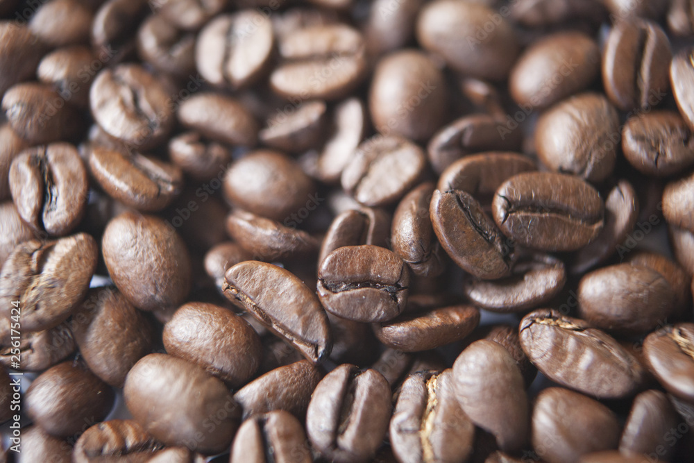 Naklejka premium café