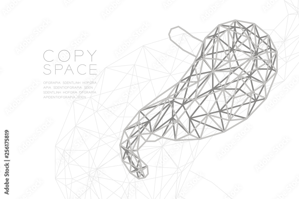 Stomach shape wireframe polygon silver frame structure, Medical Science Organ concept design illustration isolated on black gradient background with copy space, vector eps 10 Stomach shape wireframe polygon silver frame structure, Medical Science Organ concept design illustration isolated on black gradient background with copy space, vector eps 10