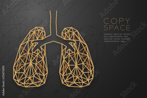 Lung shape wireframe polygon golden frame structure, Medical Science Organ concept design illustration isolated on black gradient background with copy space, vector eps 10