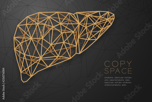 Liver shape wireframe polygon golden frame structure, Medical Science Organ concept design illustration isolated on black gradient background with copy space, vector eps 10