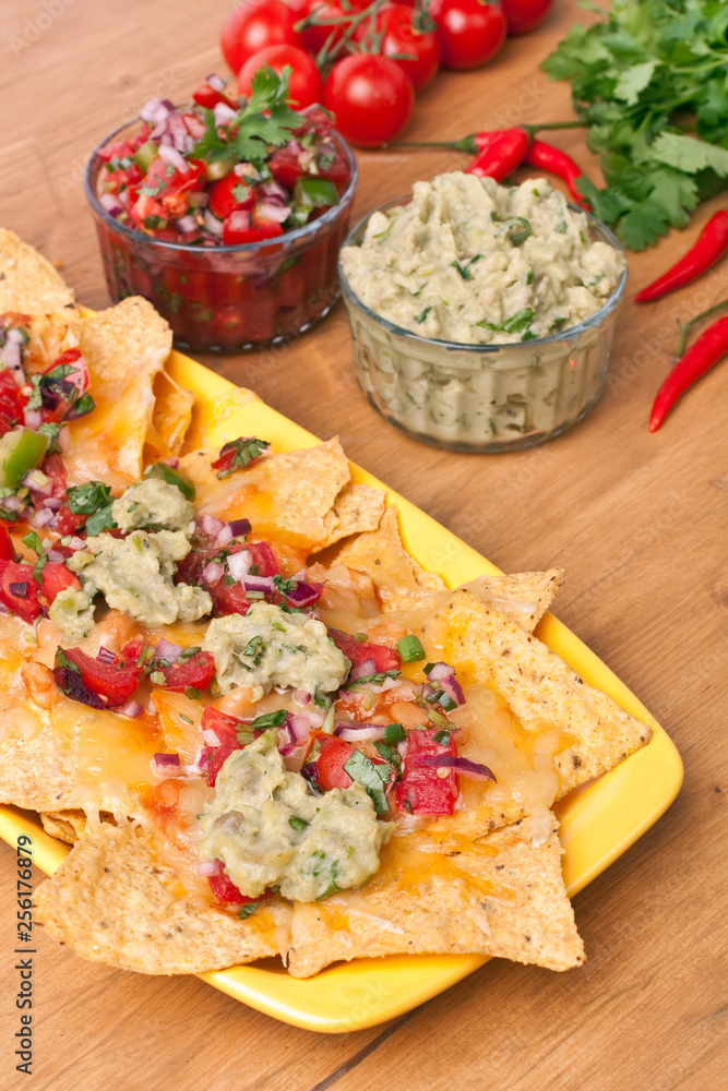 Tortilla chips with hot salsa and guacamole Tortilla chips with hot salsa and guacamole