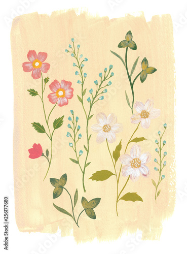 Botcanical Illustration on Light Brown Background