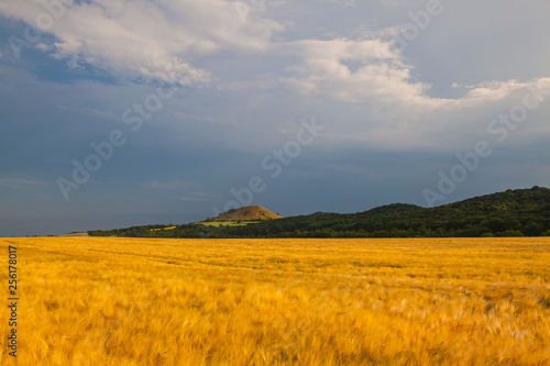 View on Cicov hill in Czech Bohemian Highlands before storm.