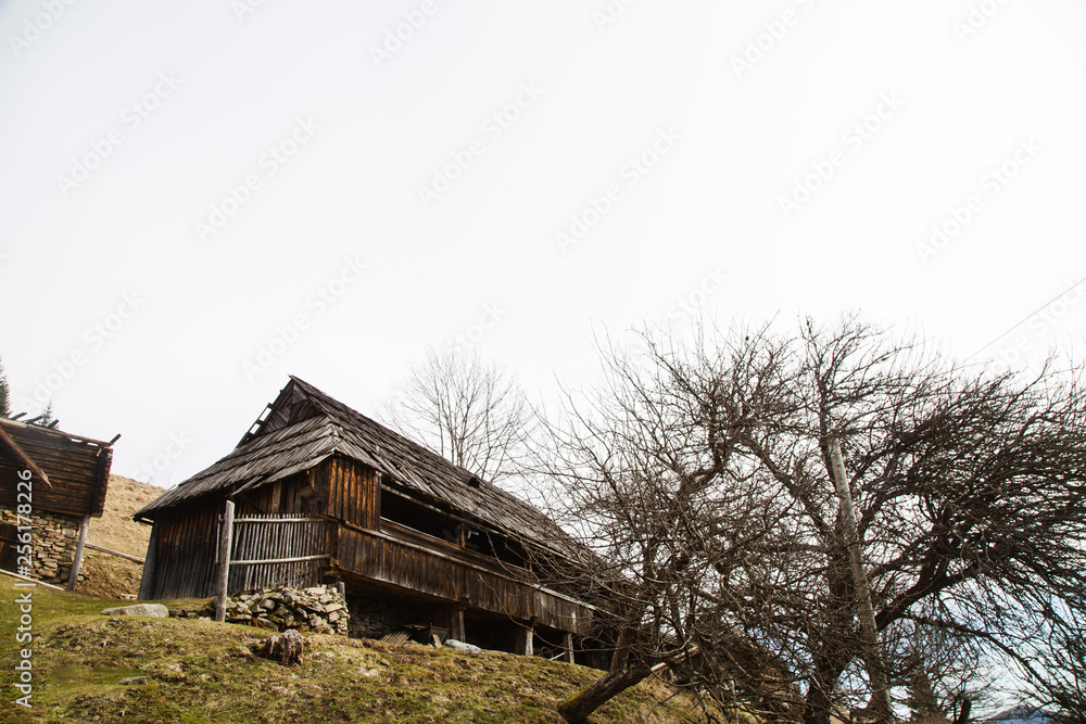 Obraz premium Landscape in the Hutsul mountain village in the morning .