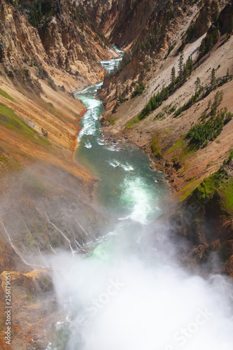 The Lower Falls in Yellowstone National Park