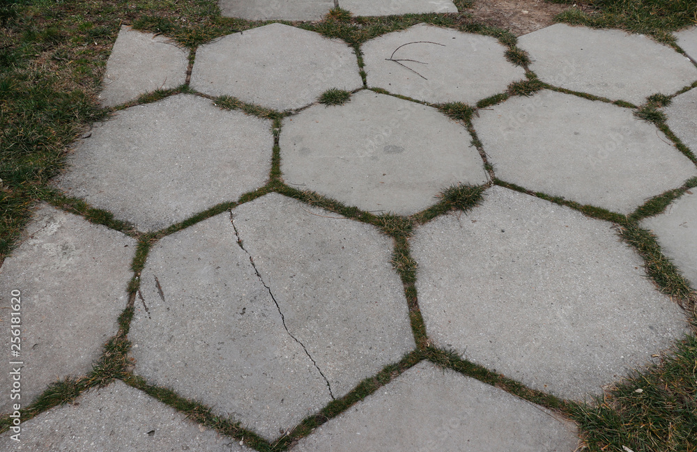 Obraz premium Paving slab. Paving